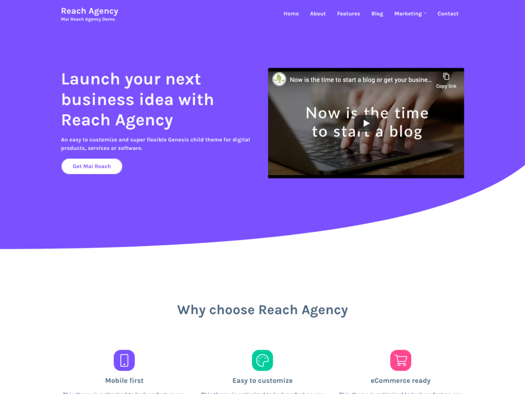 Mai Reach Agency screenshot